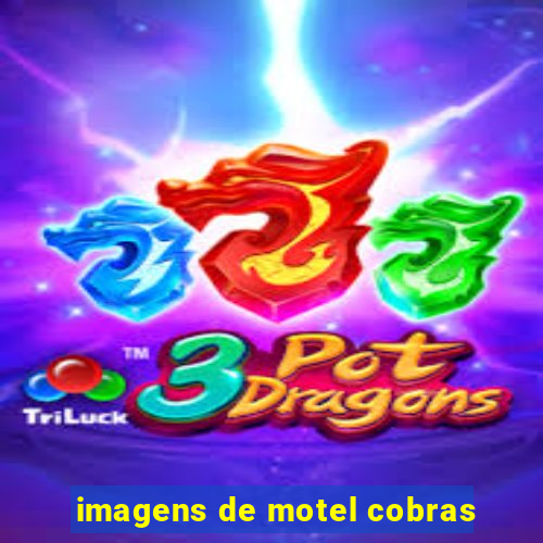 imagens de motel cobras